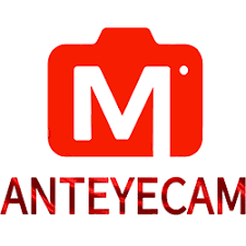 AntEyeCam logo