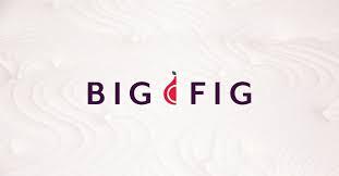 Big Fig Mattress logo