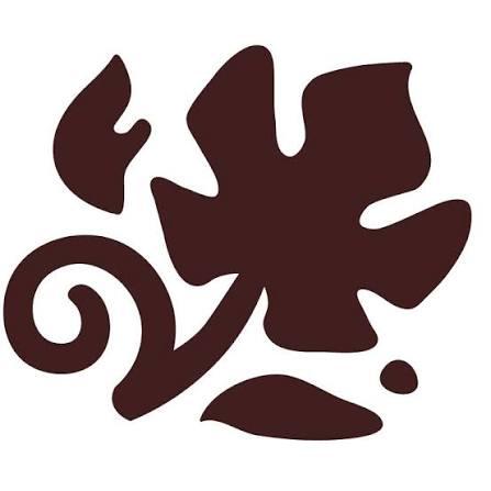 Napasoap logo