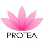 Protea Hair