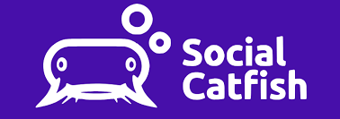 Social Catfish logo